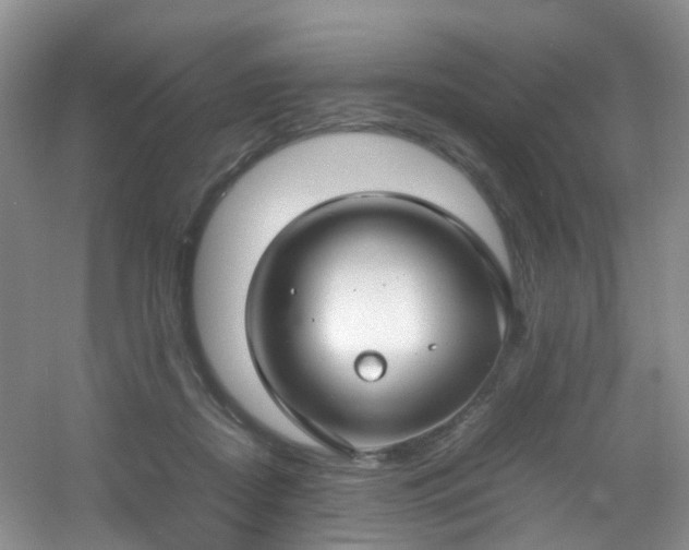 X0000054470362200508122009