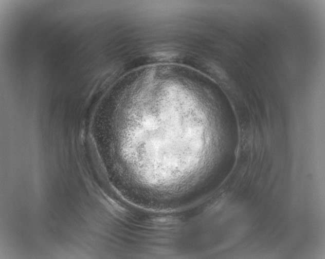 X0000054470365200508122009