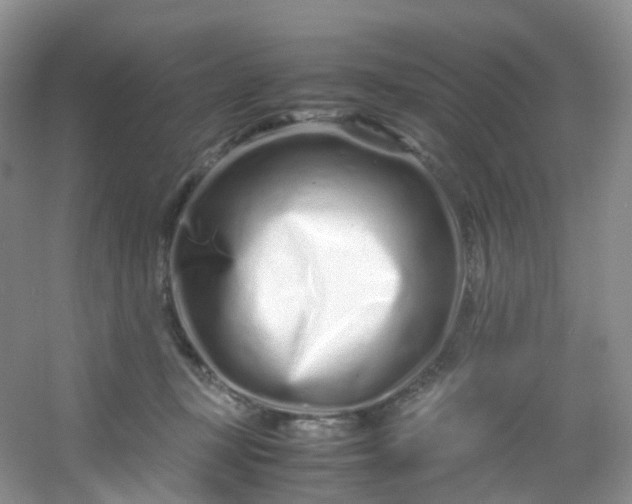 X0000054470367200508122009