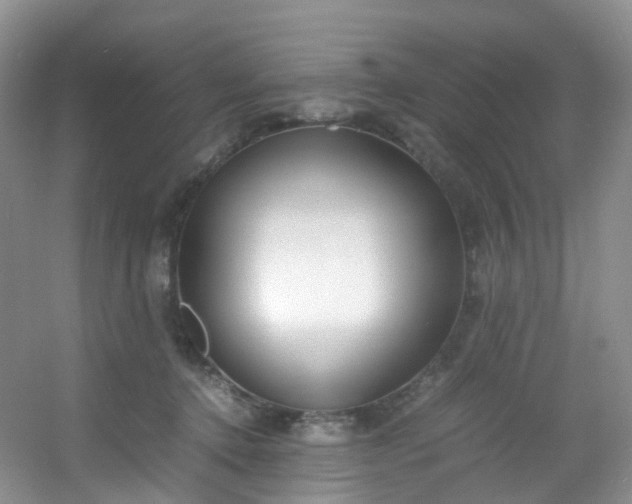 X0000054470368200508122009