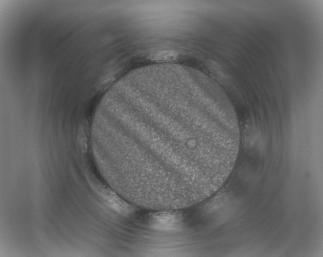 X0000054470370200508122010