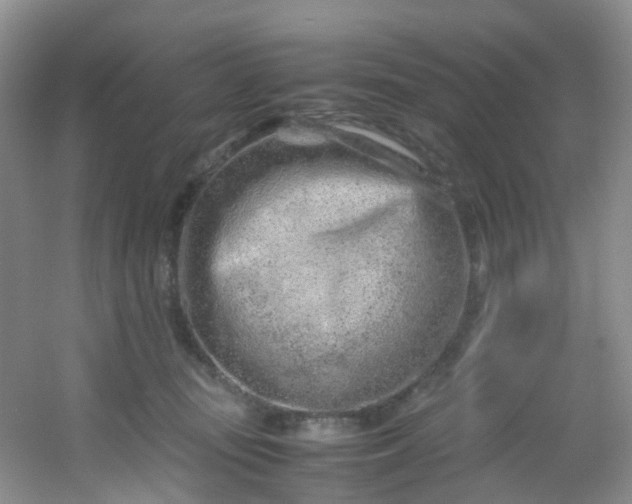 X0000054470371200508122010