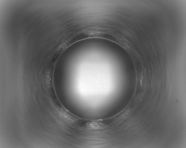 X0000054470372200508122010