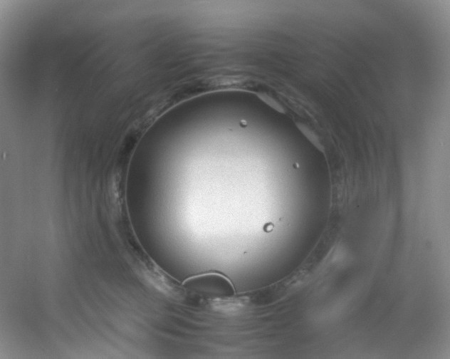 X0000054470373200508122010