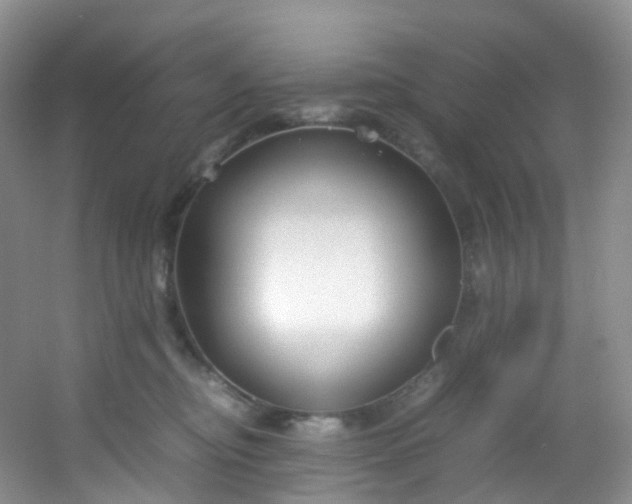 X0000054470374200508122010