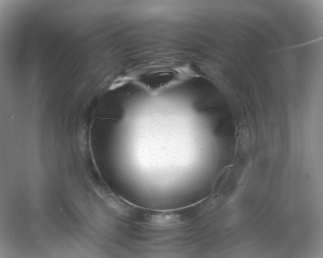 X0000054470375200508122010