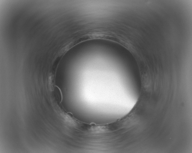 X0000054470378200508122010