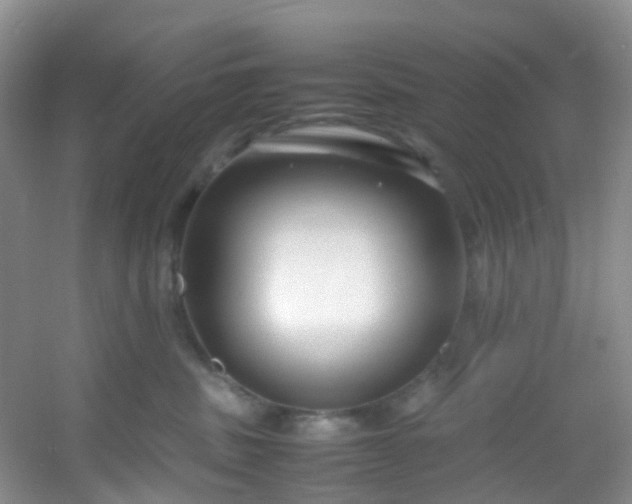 X0000054470379200508122010