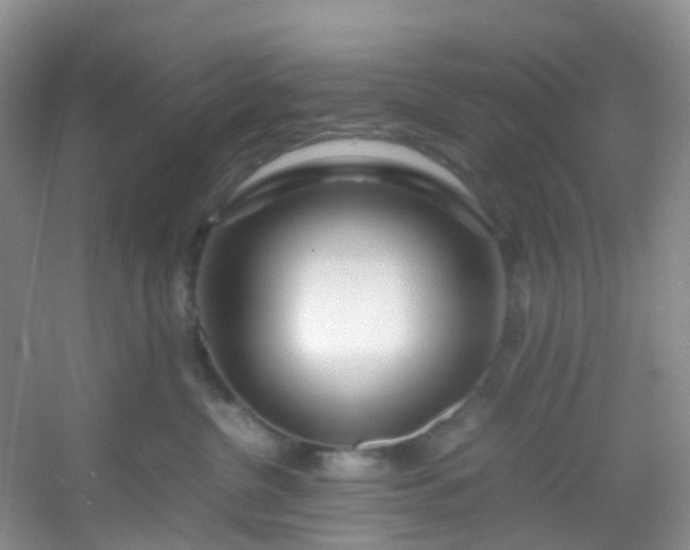 X0000054470380200508122010