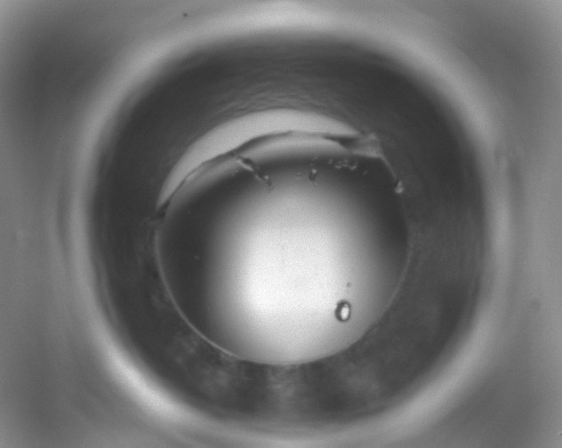 X0000054470382200508122010