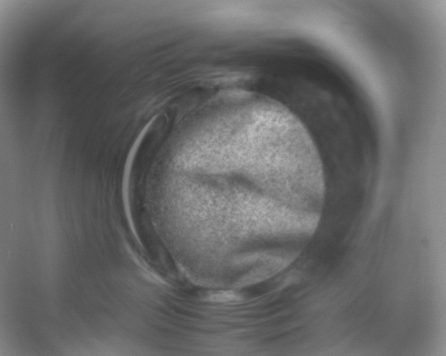 X0000054470383200508122010