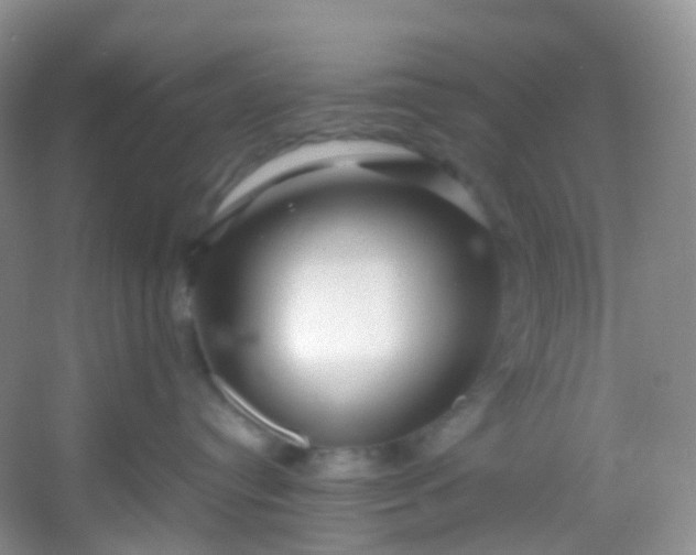 X0000054470384200508122010