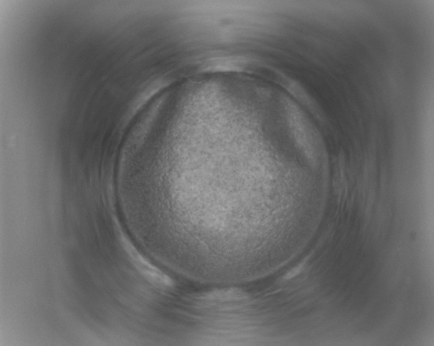 X0000054470386200508122009