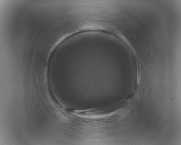 X0000054470387200508122009