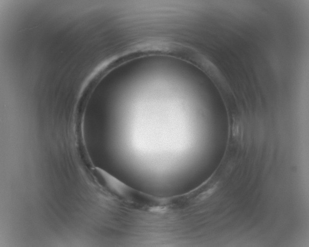 X0000054470388200508122009