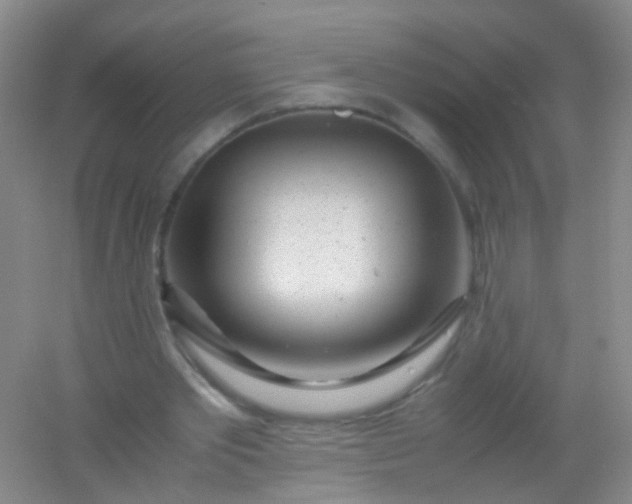 X0000054470389200508122009