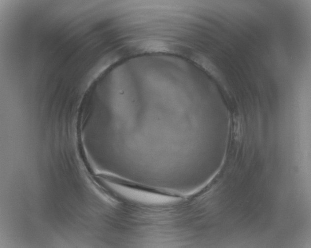 X0000054470390200508122009