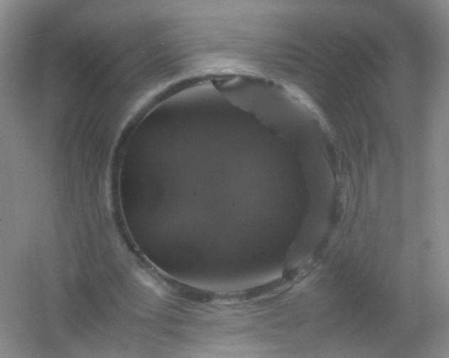 X0000054470391200508122009