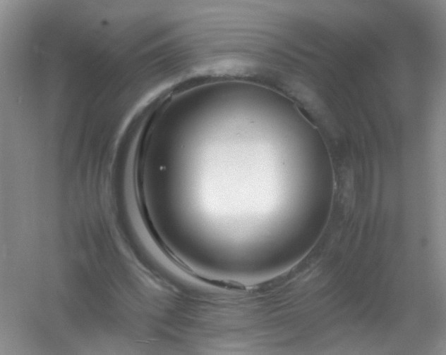 X0000054470392200508122009