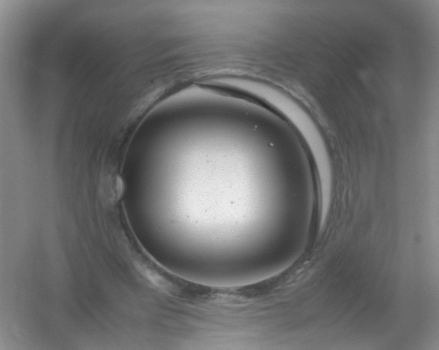 X0000054470393200508122009