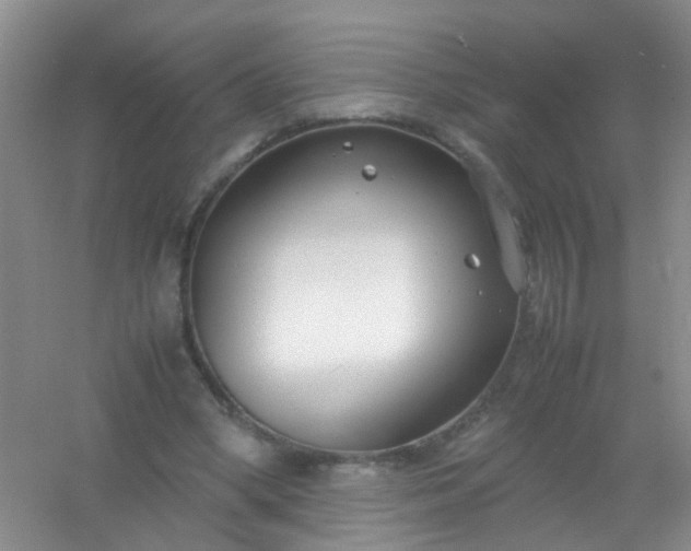 X0000054470394200508122009