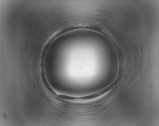 X0000054470395200508122009