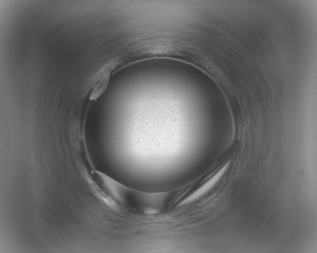 X0000054470397200508122009