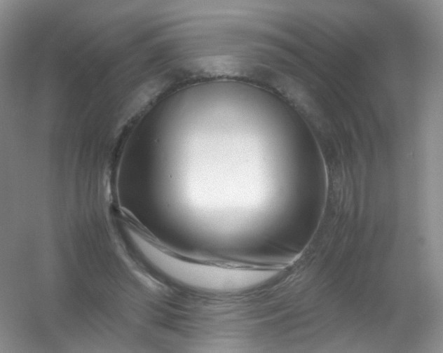 X0000054470398200508122009