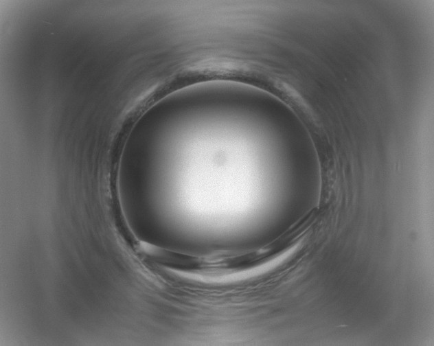 X0000054470399200508122009