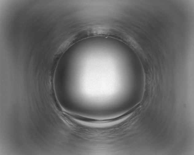 X0000054470401200508122009