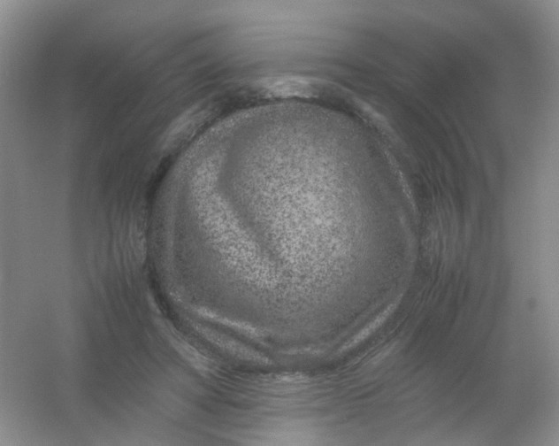 X0000054470402200508122009