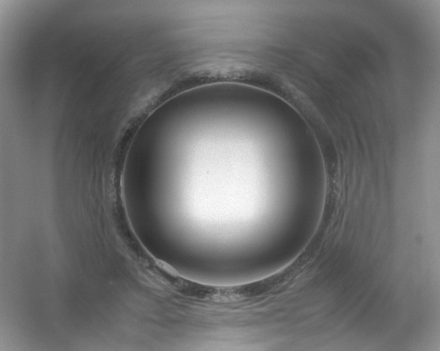 X0000054470403200508122009