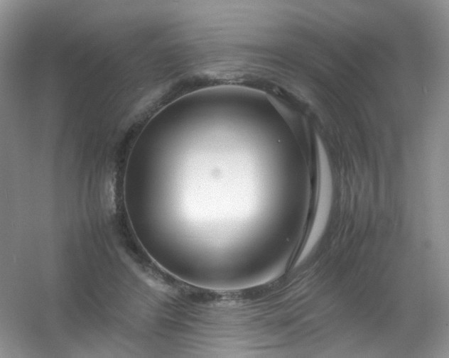 X0000054470404200508122009