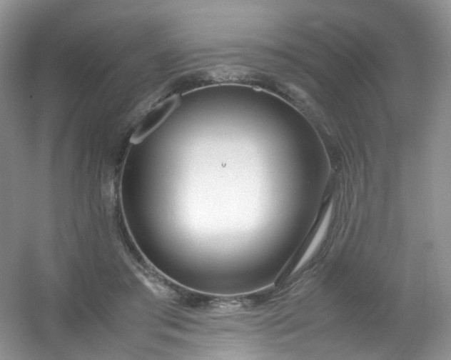 X0000054470405200508122009