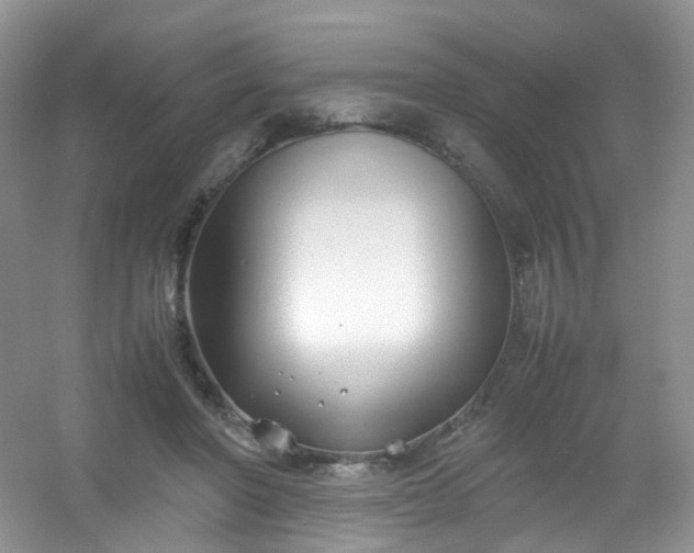 X0000054470406200508122009