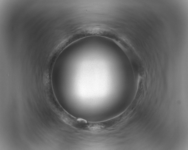 X0000054470407200508122009