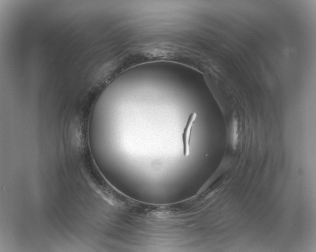 X0000054470408200508122009