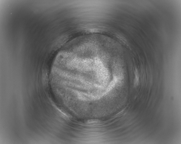 X0000054470410200508122009