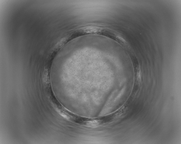 X0000054470411200508122009