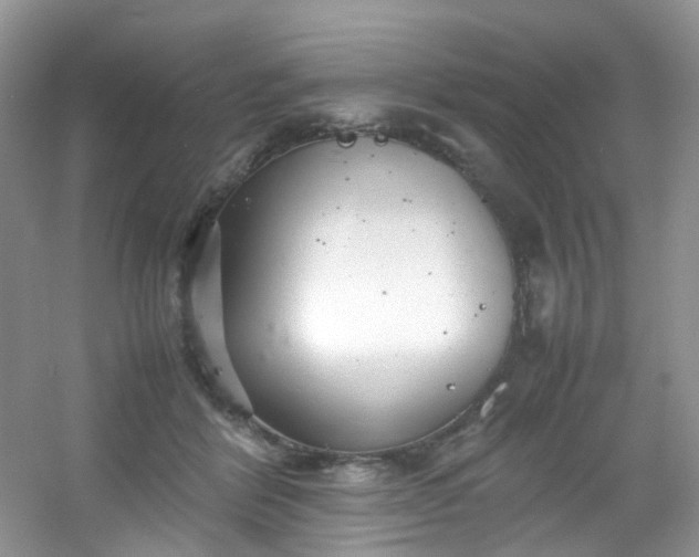 X0000054470412200508122008