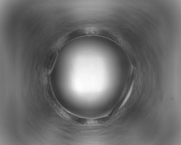 X0000054470413200508122008