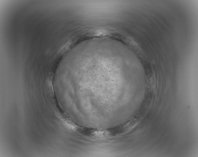 X0000054470415200508122008