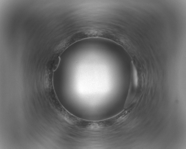 X0000054470416200508122008