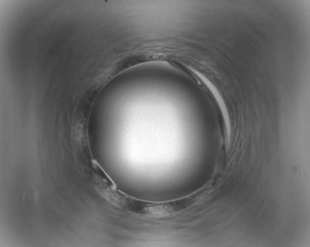 X0000054470417200508122008