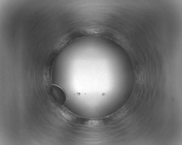 X0000054470418200508122008