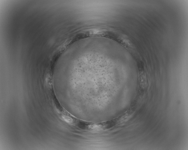 X0000054470419200508122008