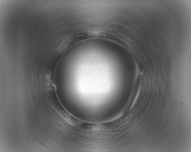 X0000054470420200508122008