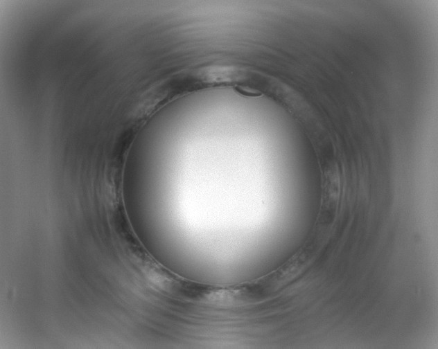 X0000054470422200508122008