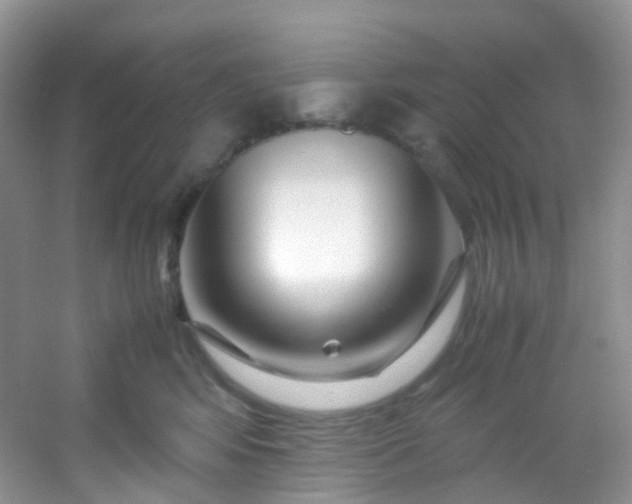 X0000054470424200508122008