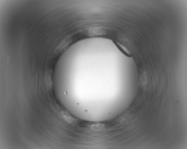 X0000054470426200508122008